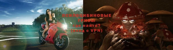 шишки Алексеевка