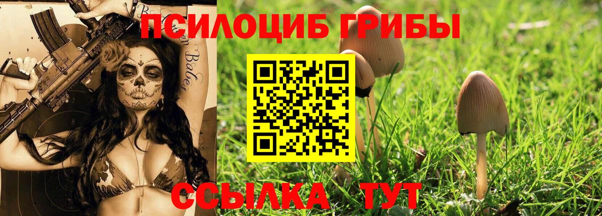 Псилоцибиновые грибы GOLDEN TEACHER Казань